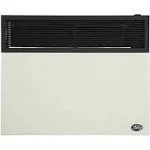 Ashley 25,000 BTU Direct Vent Propane Wall Heater DVAG30L