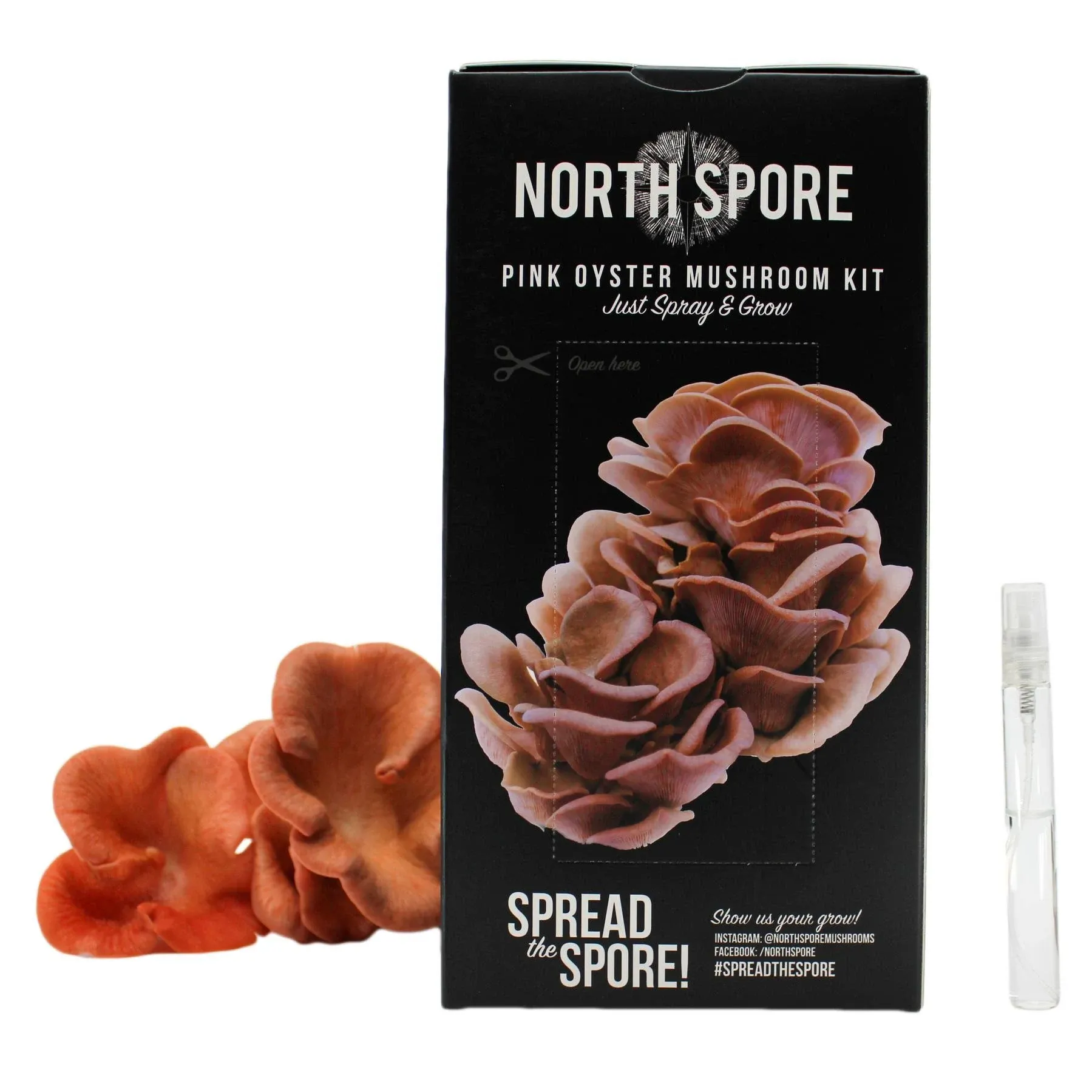 'MUSHROOM SPRAY & GROW BLOCKS' Assorted