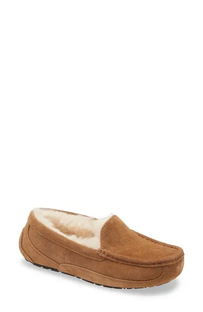 Boy's Ascot Suede Slippers W/ Wool-lining, Kids In Chestnut