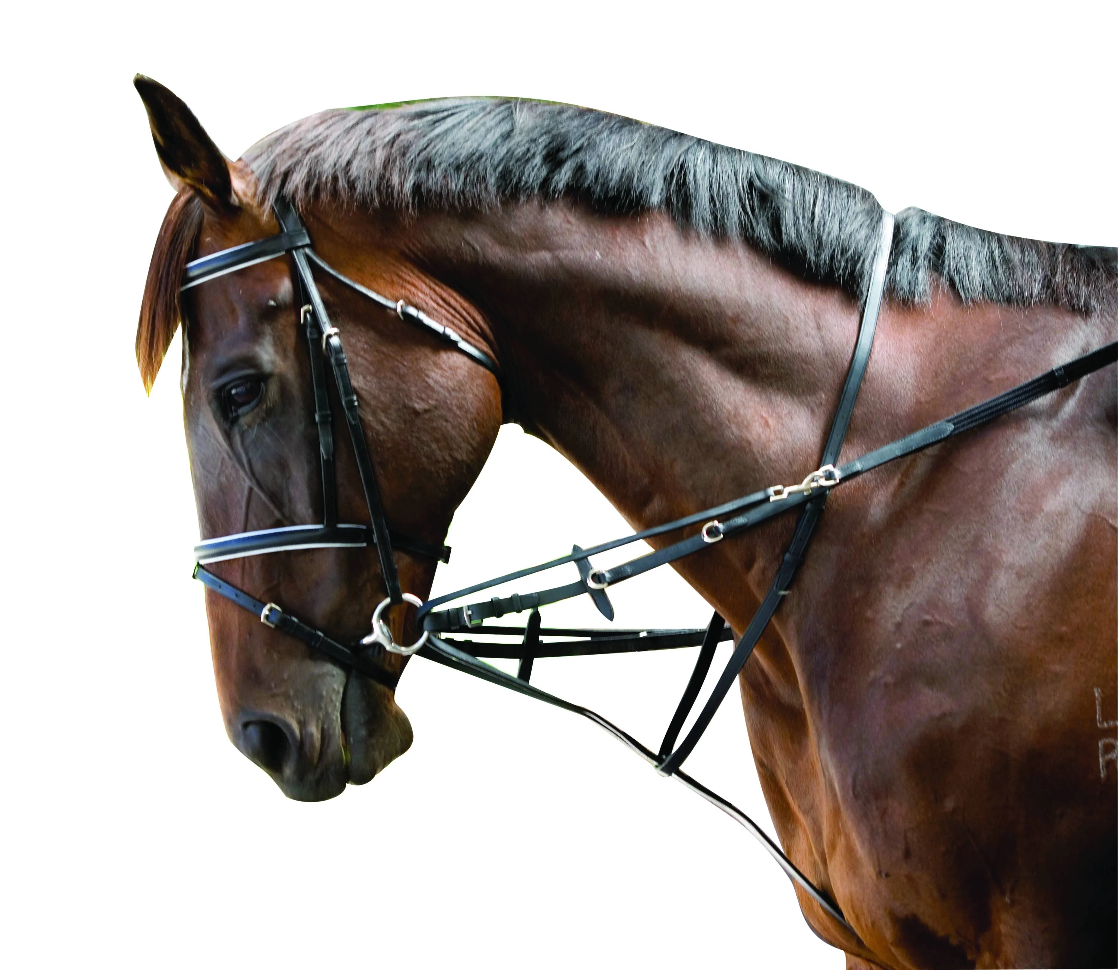 Kincade Web German Martingale Set