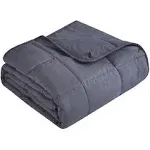 Topcee Weighted Blanket (20lbs 60 inchx80 inch Queen Size) for Adult All-Season Summer