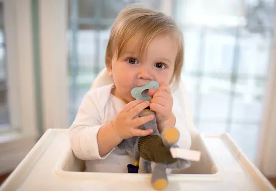 Dr. Brown's Lovey Sloth with Pacifier and Teether Holder