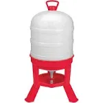 Little Giant Plastic Dome Waterer