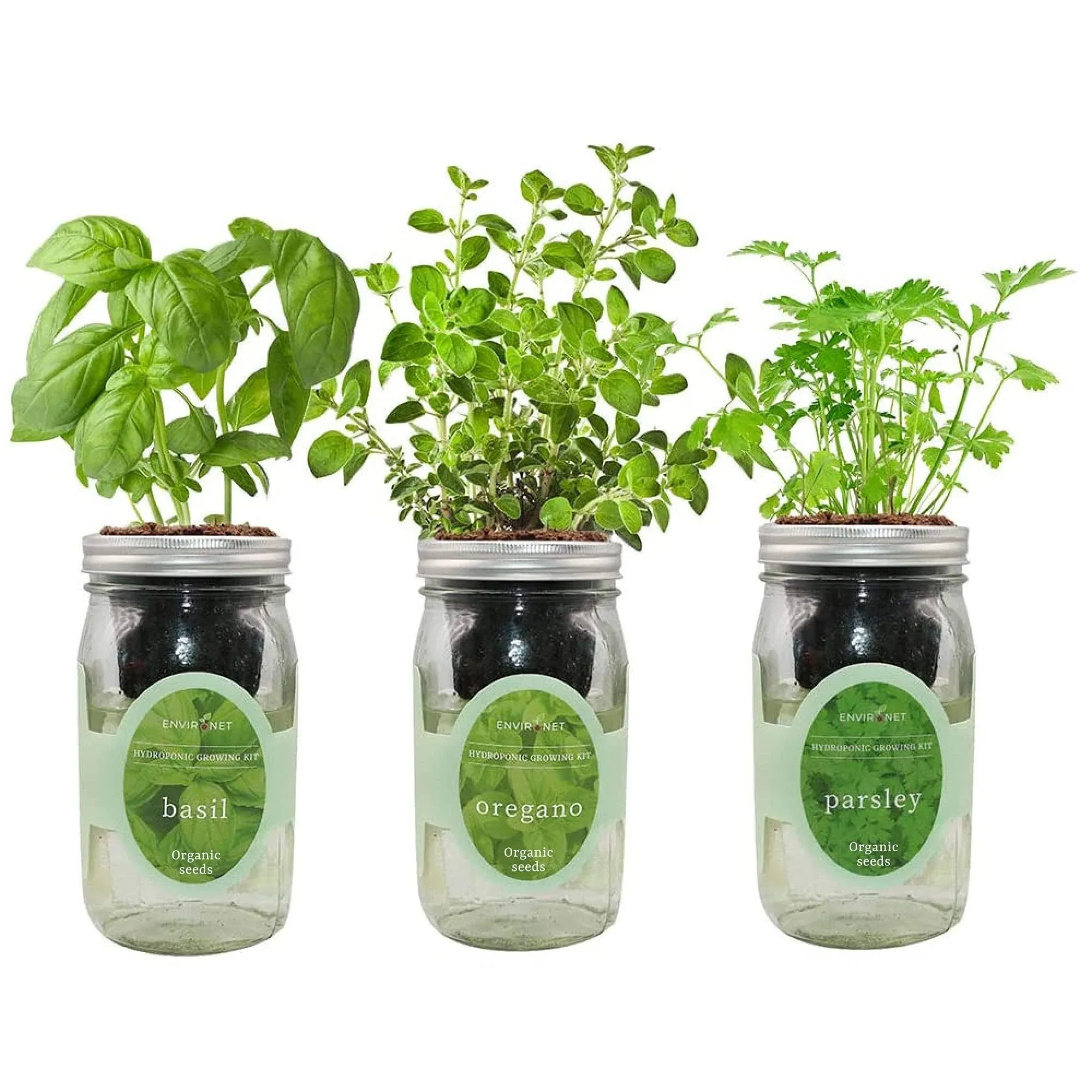 Environet Hydroponic Herb Growing Kit Set Self-Watering Mason Jar Herb Garden Starter Kit Indoor