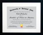 11x14 Black Certificate Document Frame Mat to 8.5x11 2-Pack - Two Frames - Wide Molding - Includes Attached Hanging Hardware and Desktop Easel - Display Certificates, Documents, Diploma, 11 x 14 Photo