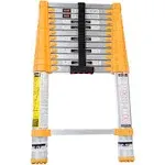 Xtend+Climb Telescoping Ladder