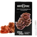 North Spore Organic Pink Oyster Mushroom Spray & Grow Kit (4 lbs) | USDA-Certified Organic, Non-GMO, Beginner-Friendly & Easy to Use | Handmade in Maine, USA