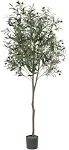 6 ft. Green Olive Artificial Tree, Faux Plant in Pot, Faux Olive Branch and Fruit with Dried Moss for Indoor Home Office