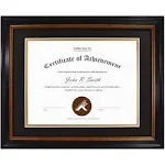 11x14 Diploma Document Certificate Frame for 8.5x11 Graduation Photo Black Gold