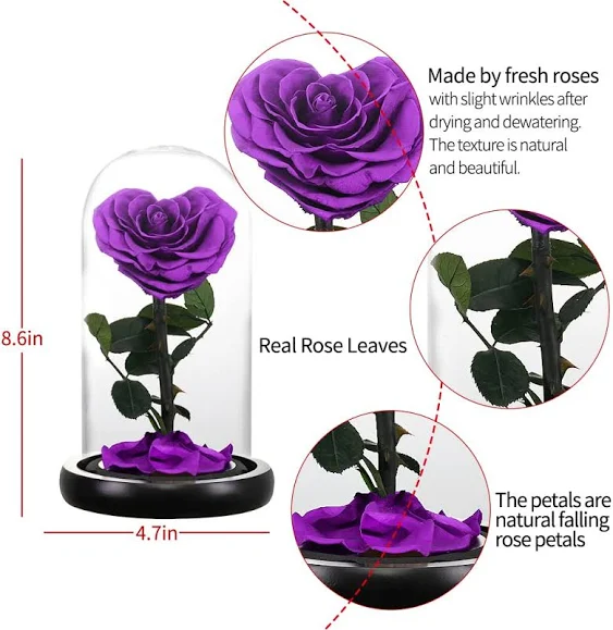 Forever Preserved Real Heart Rose Flower Birthday Gifts for Women,Valentines Gifts Eternal Flower in Glass Gifts for Valentine's Day Mothers Day Christmas Anniversary Birthday (Purple)