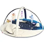 Skip HOP Celestial Dreams Activity Gym, Size: One size