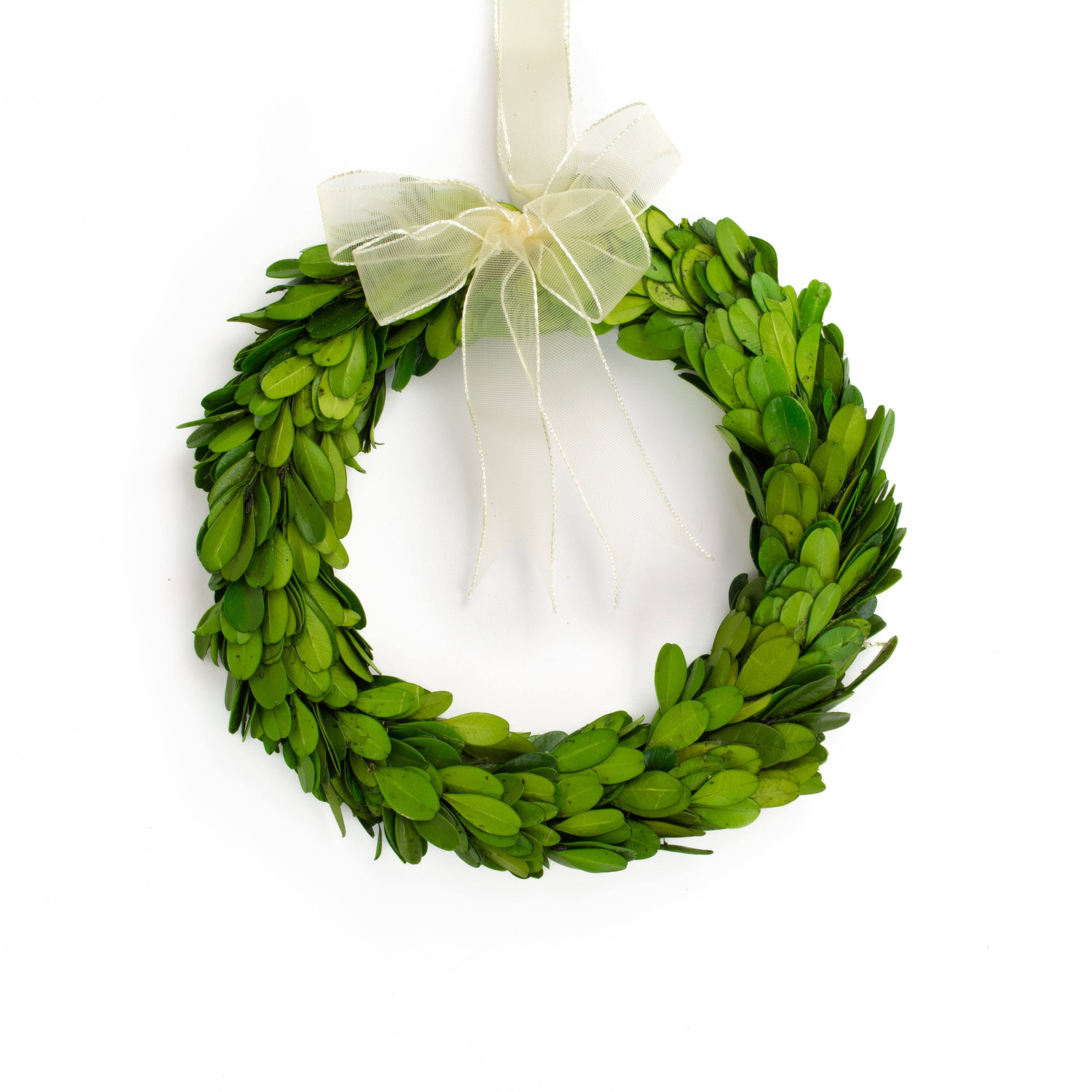 Preserved Boxwood Wreath 8 inch by Tradingsmith