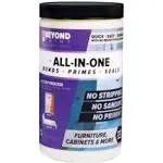 Beyond Paint All In 1 Multi Use Refinishing Paint