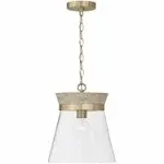 Capital Lighting - Finn - 1 Light Pendant In Industrial Style-14 Inches Tall and