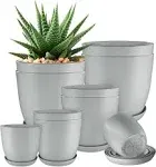 Plant Pots Indoor with Drainage - 7/6.6/6/5.3/4.<wbr/>8 Inches Decorative Utopia Home