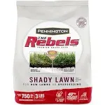 Pennington The Rebels Tall Fescue Grass Dense Shade Grass Seed 3 lb