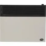 Ashley Hearth Products - 25,000 BTU Direct Vent Propane Heater DVAG30L