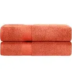 Zero-Twist Cotton Solid Soft Absorbent 2 Piece Bath Sheet Set