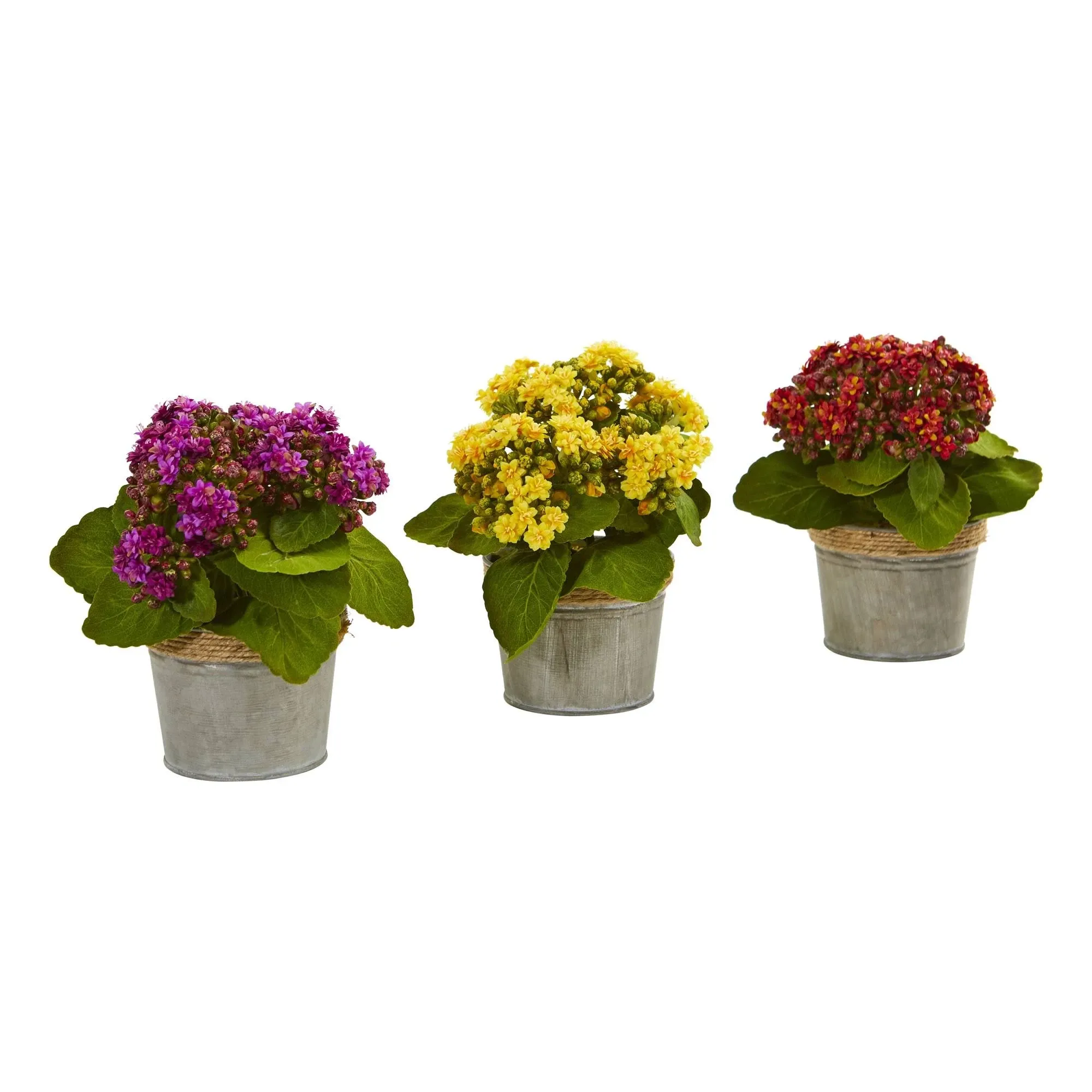 Nearly Natural Kalanchoe Artificial Arrangements (Set of 3)