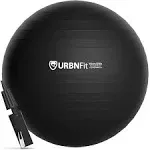 URBNFit Exercise Ball 65 cm for Stability & Yoga - Workout Guide...