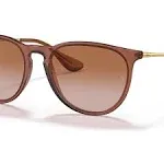 Ray-Ban RB4171 Erika - Brown - Sunglasses