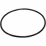 Pentek 151122 OR-100 Buna-N O-ring for Big Blue Housings