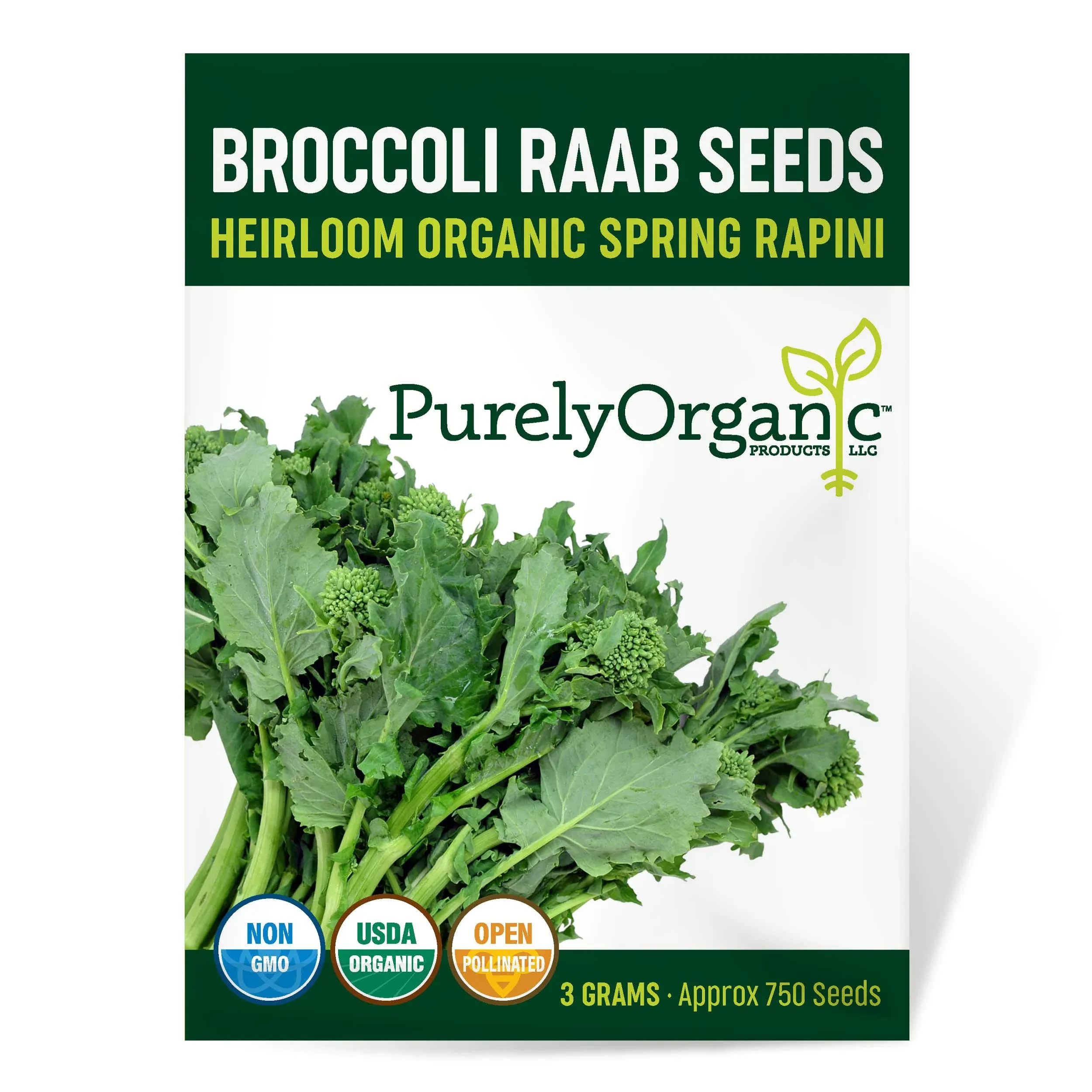 Organic Broccoli Raab Seeds (Spring Rapini) - Approx 750 Seeds - USDA Organic, Non-GMO, Open Pollinated, Heirloom, USA Origin