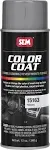 Color Coat - Plastic & Vinyl Flexible Coating, Presidio, 12 oz. Aerosol