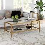 Hera 45 in. Antique Brass Rectangular Glass Top Coffee Table