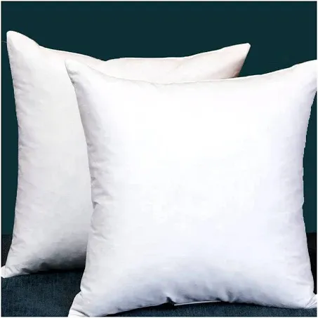 Alwyn Home Set of 2 Decorative Throw Pillow Inserts