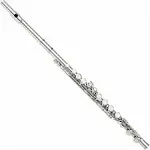 Cecilio High Grade Student C Flute