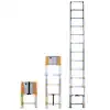 Xtend+Climb Telescoping Ladder