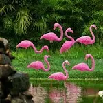 10 Pack Small Yard Flamingos Ornament Stakes Mini Pink Flamingo Yard Decor