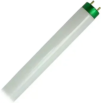 479600 Philips Fluorescent Lamp