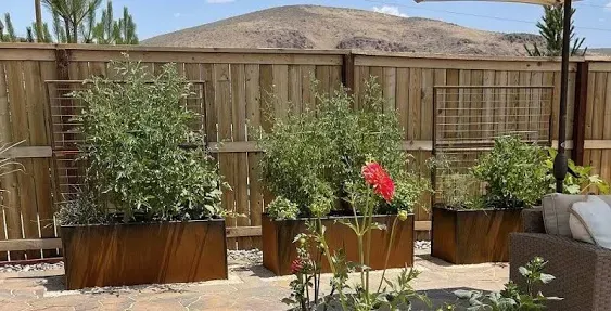 Trellis Corten Trough Planter