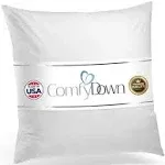 22X22 Decorative Throw Pillow Insert, Down and Feathers Fill, 100% Cotton Cover