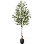 CAPHAUS 6 ft. Green Olive Artificial Tree, Faux Plant in Pot, Faux Olive Branch and Fruit with Dried Moss for Indoor Home Office