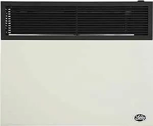 Ashley 25,000 BTU Direct Vent Propane Wall Heater