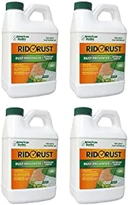 American Hydro Systems 4-Pack RR2 Rid O' Rust Stain Preventer Extreme Water, 1/2 Gallon, 4 Pack