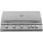 Blaze Premium LTE+ 40 inch 5-Burner Gas Built in Grill with Rear Infrared Burner, Natural Gas