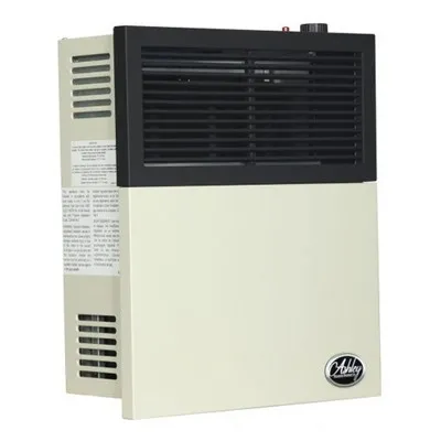 Ashley 11,000 BTU Direct Vent Propane Wall Heater