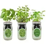 Environet Hydroponic Herb Growing Kit Set, Self-Watering Mason Jar Herb Garden Starter Kit Indoor, Grow Your Own Herbs from