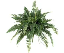 Nearly Natural 14in. Boston Fern Artificial Plant (Set of 6)