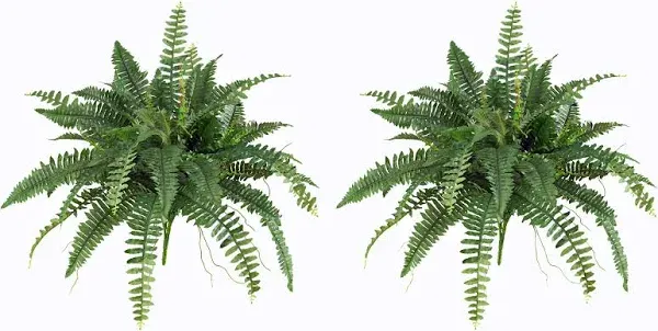 14&#034; Boston Fern Artificial Plant (Set of 6)