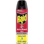 Raid Ant &amp; Roach Killer Lemon Scent, 17.5 Ounce (Pack of 1)