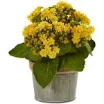 Nearly Natural Kalanchoe Artificial Arrangements (Set of 3)