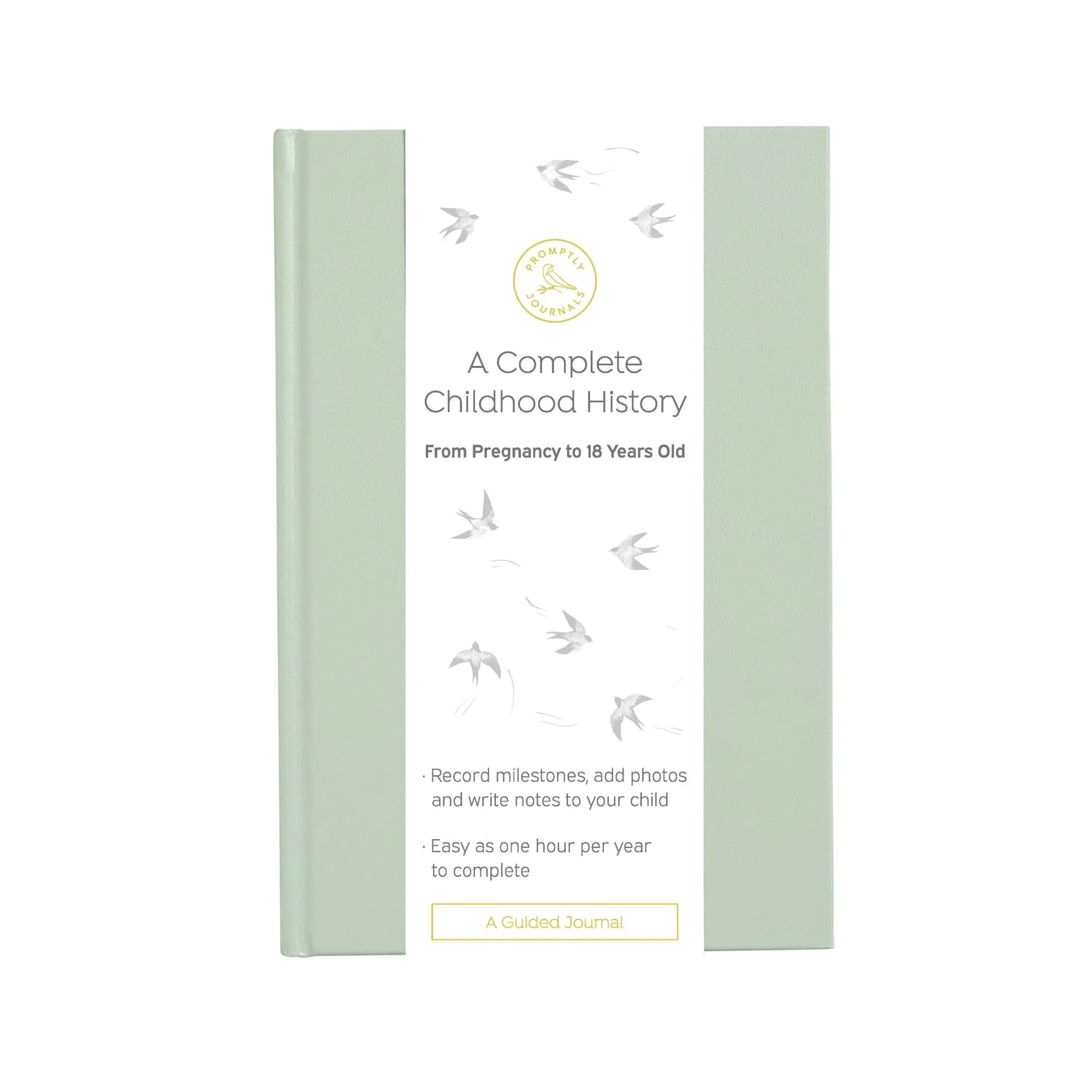 , A Complete Childhood History: From Pregnancy to 18 Years Old (Aloe Green, L...