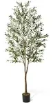 CAPHAUS Green Artificial Olive Tree, Faux Plant in Pot, Faux Olive Branch and Fruit with Dried Moss for Indoor Home Office