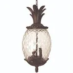 Acclaim Lighting Lanai 3 Light Hanging Light Black Coral 7516BC