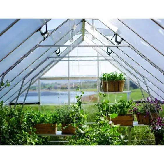 Canopia by Palram Balance Silver Greenhouse